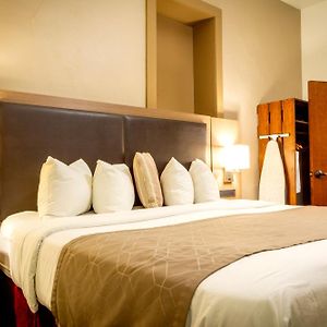 King Room Disability Access
